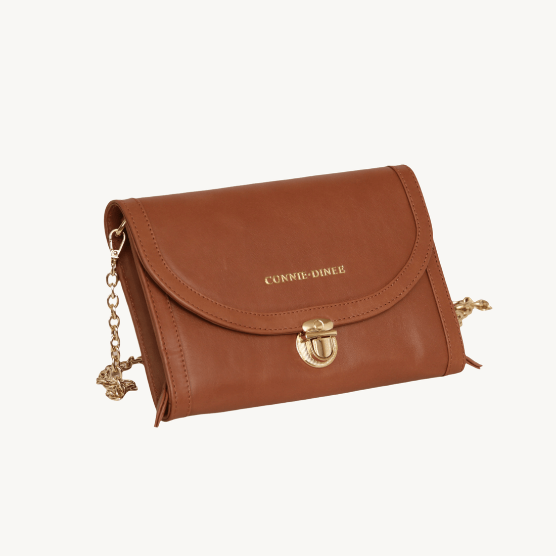 Brown and Gold Travel Clutch